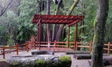 Redwood-Picnic-Area-Amphitheater-prepped.jpg