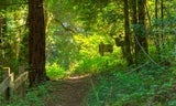 Sam-McDonald-RidgeLoopTrail-001-cropped.jpg