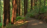 Ridge Loop Trail Photo