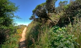 Ridge Trail Photo