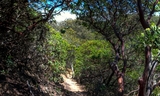 Brooks Creek Trail Photo