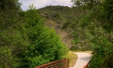 Weiler Ranch Road Photo