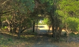 Wunderlich - Meadow Trail-003-cropped.jpg