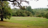 east_meadow_picnic_area_field.jpg