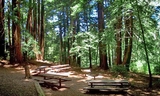 Modoc Youth Campground Photo