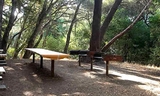 redwood_picnic_area_3.jpg