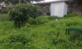 A fallow school garden