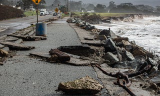 Storm Debris