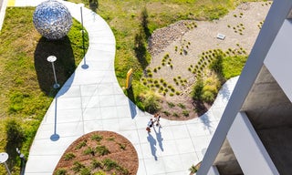 landscape at parking structure