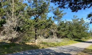 Pillar Point Bluff Fuel Reduction