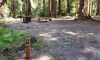 Huckleberry Flat #5