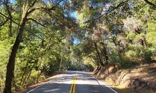 Pescadero Creek Road