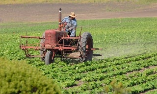 Man on tractor
