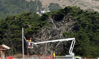 Tunitas Creek October 2025 - Utility pole removal