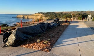 Tunitas Creek January 2026 Upper Parking Lot Sidewalk