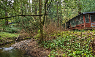 Sam McDonald's weathered cabin