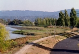 bicycle path through scenic trees and water