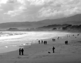 black and white of beach