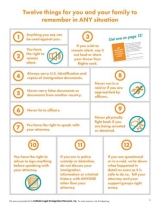 know your rights infograph