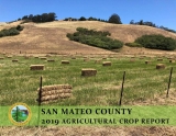 2019 crop report