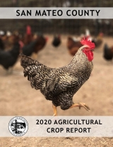 2020 crop report