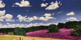 Painting of a sky over purple and green field