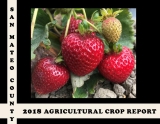 2018 crop report