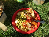 Plate of food at a picnic