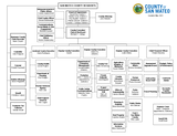 Countywide Org Chart