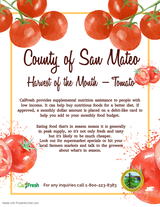 Harvest of the Month Tomato