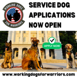 Service Dog Applications
