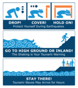 Tsunami Safety Graphic (Eng)