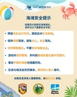 Beach Safety (Flyer) (Simplified Chinese)