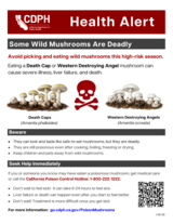 CDPH Poisonous Mushroom Warning Flyer