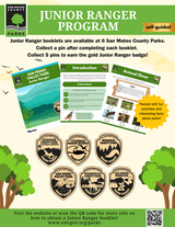 Junior Ranger Program Flyer