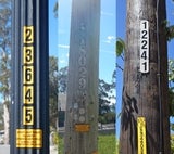 Some examples of what lighting pole ID numbers may look like