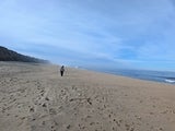 D3 County Park Beach