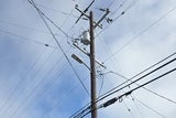A utility pole with a street light, transformer, and lots of wires connected.