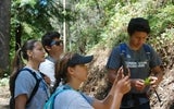 Students take a picture and pinpoint the location of invasive plants in San Pedro Valley County Park with the help of an iPad.Local high school students spend the summer restoring trails, mapping parks and pinpointing invasive plants for removal later.