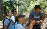 Students take a picture and pinpoint the location of invasive plants in San Pedro Valley County Park with the help of an iPad.Local high school students spend the summer restoring trails, mapping parks and pinpointing invasive plants for removal later.