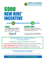 Incentive Flyer