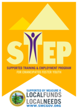 Logo-STEP Organization