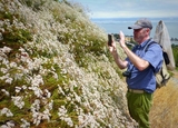 Liam and Eriogonum SBM Butterfly Count 2014.jpg