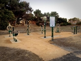 Exercise Equipment-Workout Site CP.jpg