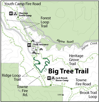 Big-Tree-Trail-map.gif