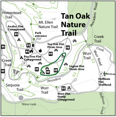 Tan-Oak-Nature-Trail.gif