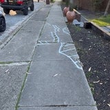 Remove and Replace (R&R) - Sample Photo 1
