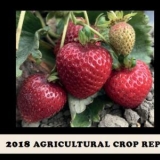 2018 Crop Report Cover