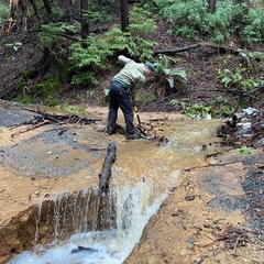 Washed out area of Alambique Trail in Huddart Park