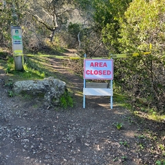 Live Oak Nature Trail Junipero Serra Park